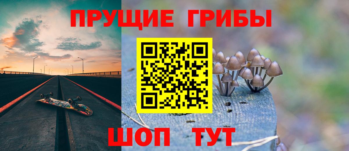 Галлюциногенные грибы прущие грибы Междуреченск